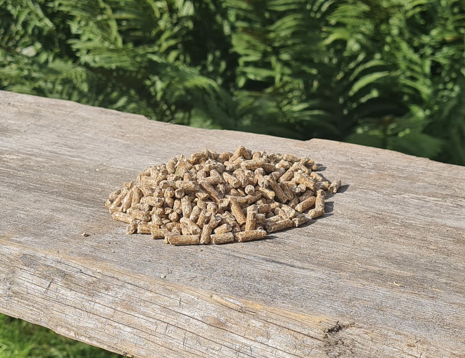 ankfoder-pellets-orga-kvarn