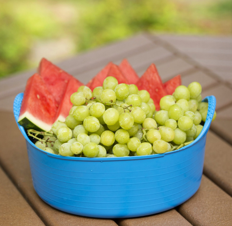 RED Gorilla TUBTRUG Flexible Mini Shallow Buy, Best Price In - Foto 4