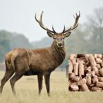 Viltfoder pellets till klövdjur 15 kg