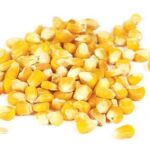 Hel Majs, Orga Kvarn