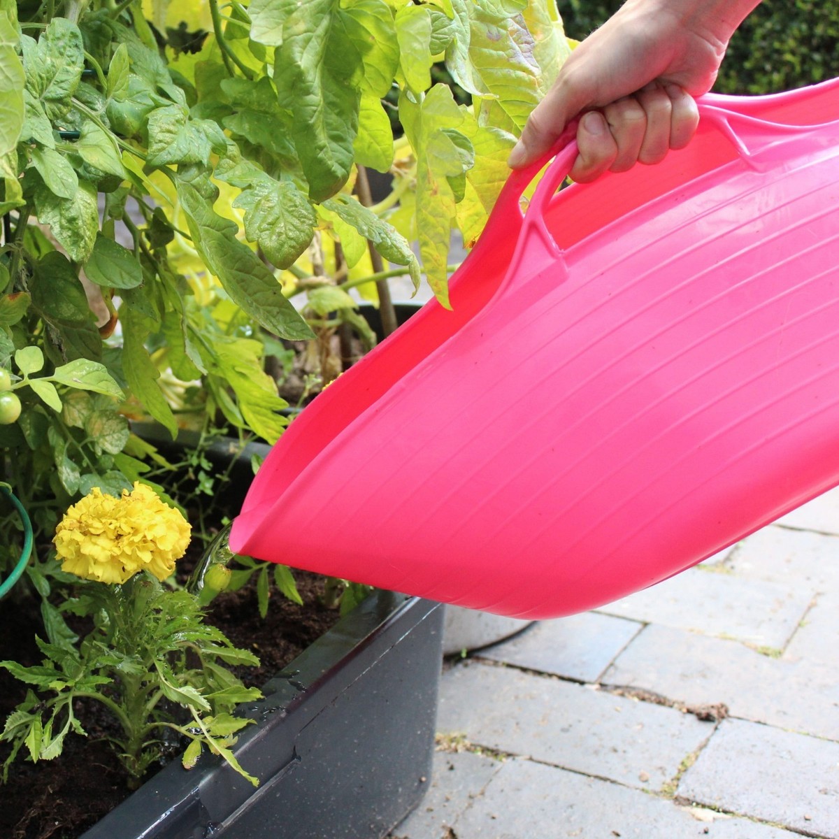 Red Gorilla® Shallow Rosa 5 L - Bild 2